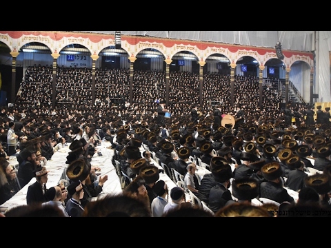 Forshpiel In Belz Ahead Of Wedding Of Belzer Rebbe's Granddaughter - 2017/5777