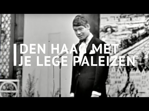 Paul van Vliet - Den Haag met je lege paleizen