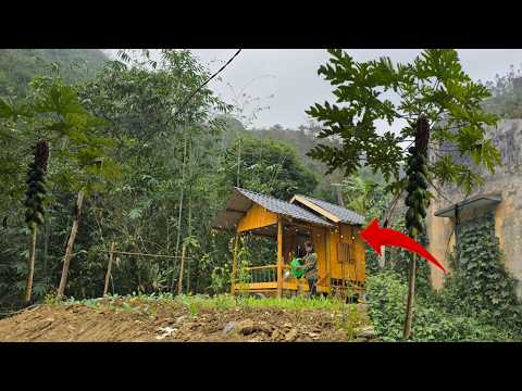 La joven oficial construyó su propia granja, cultivando verduras e instalando un sistema eléctrico.