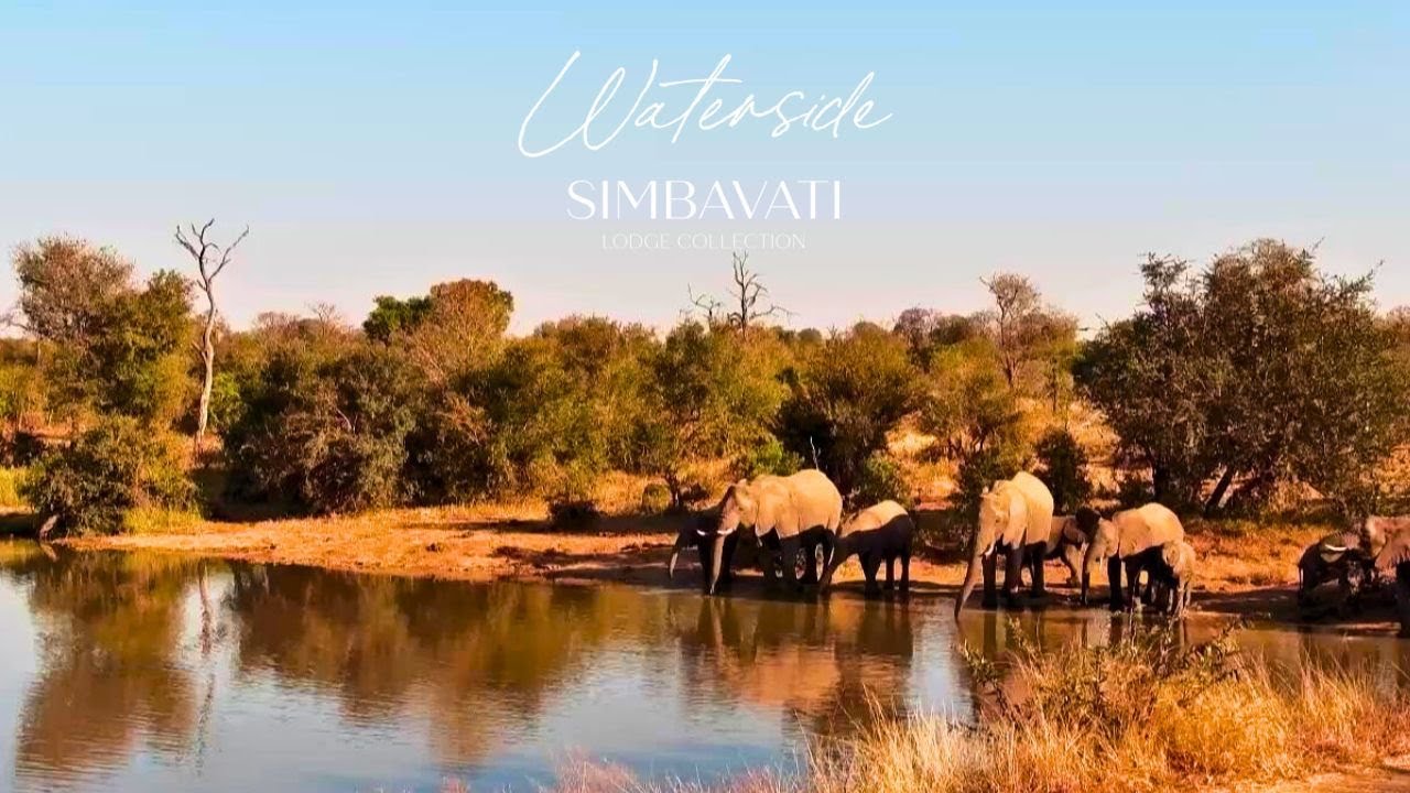 Live webcam view of Simbavati Waterside Wildlife Cam