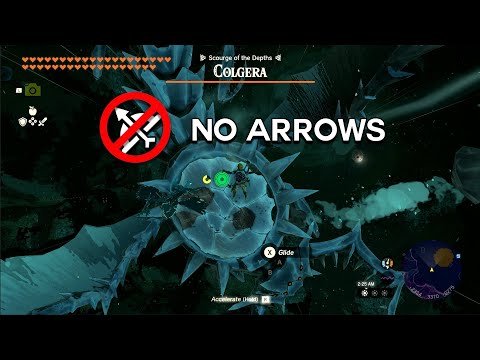 Fighting Colgera The Way Nintendo Intended (Depths Rematch)