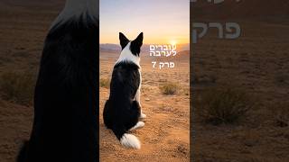 עוברים לערבה - פרק 7 #ערבה #כלבים #התחלותחדשות