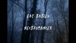 Cover art for necromancer