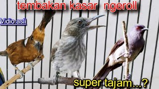 Download lagu TEMBAKAN KASAR NGEROLL SUPER TAJAM  || cililin vs siri siri vs murai air mp3