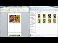 Drag and drop a picture into Word Document (Easily - WITHOUT picture distortion). Drag and drop a picture into Word Document (Easily - WITHOUT picture distortion).