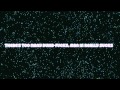 The Flaming Lips - Unplugged