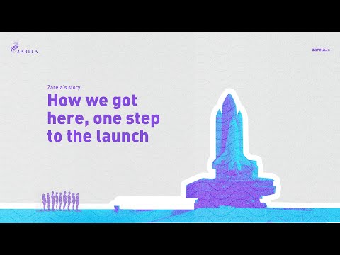 Zarela's 6 month report before the main-net launch