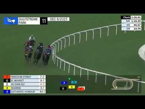 Gulfstream Park December 6, 2025 Race 11