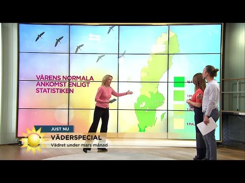 Vädret i mars  - Nyhetsmorgon (TV4)
