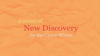 a cover of New Discovery by The Crane Wives