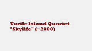 Turtle Island Quartet - Skylife