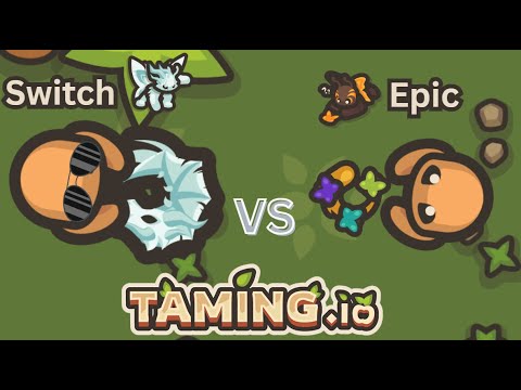 Switch vs Epic? | Taming.io