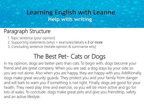 Opinion Paragraph 1.2- The Best Pet- Cats or Dogs?