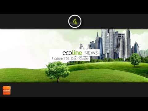 ecoline new feature 02  - Dach Gaube!