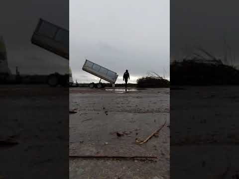 Grünabfälle entsorgen – So einfach geht’s mit dem Haus- und Gartenservice Geißler aus Neuruppin! 🌿✅