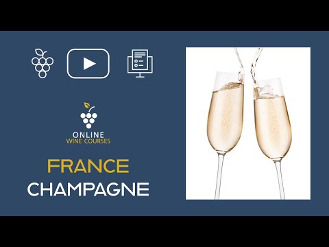 Wines of Champagne | France 🍇Online Wine Courses ➡️ with QUIZ