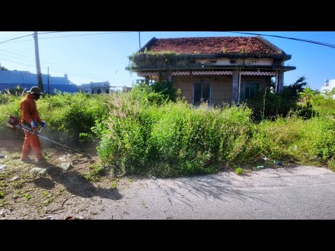 30-MINUTEN-ZEITRAFFER: Die Verwandlung eines 30 Jahre alten, verlassenen Hauses (Teil 2)