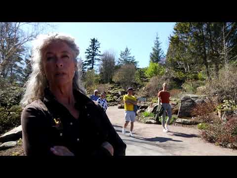 Vår i Klippträdgården