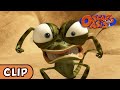 Oscar S Oasis Firebreather HQ Funny Cartoons