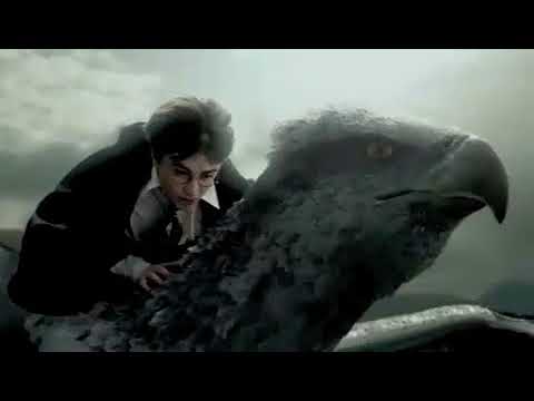 3X   balazs tarkan shayand