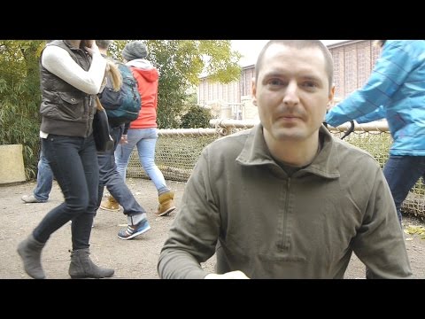 Just as animals eat their food II