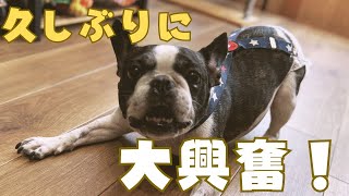 久しぶりのお出かけは大変だった😳💦