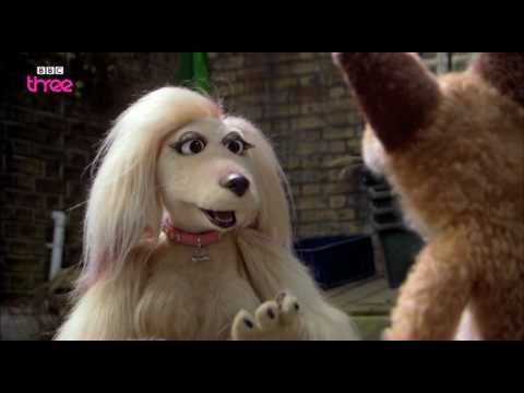 Why dogs really bark? - Mongrels - BBC