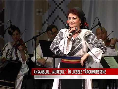 ANSAMBLUL ,,MUREŞUL”, ÎN LICEELE TÂRGUMUREŞENE