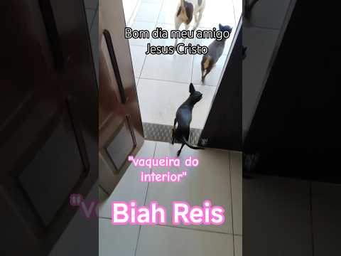 passeio matinal com meus petmores em Botuporã Ba #biah #nordeste