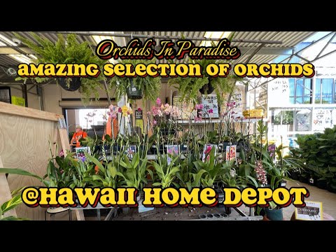 Amazing delivery of ORCHIDS at Home Depot in Kapolei, Hawaii 🌴