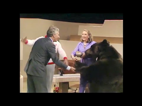 Hurcules The Wrestling Grizzly Bear, Ireland 1984