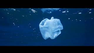 LA PLUS MAGNIFIQUE POUBELLE DE NOTRE PLANÈTE