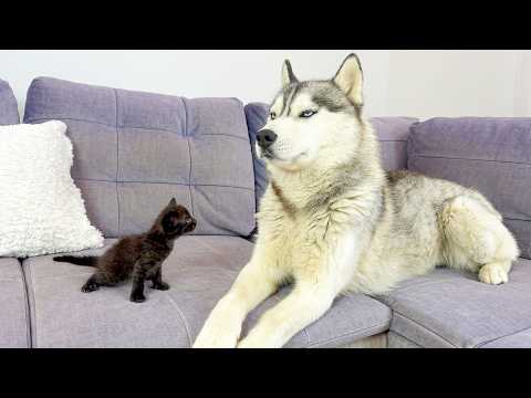 YouTube 썸네일