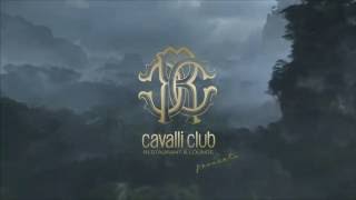 Jungle Party  Cavalli Club Dubai  1016