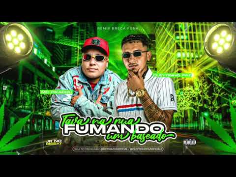 CLEYTINHO PAZ E MC PIKACHU - TAVA NA RUA FUMANDO UM BASEADO ( REMIX BREGA FUNK ) JR NO BEAT