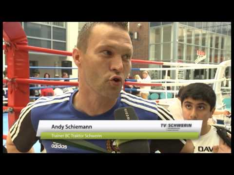 Boxer in den Schweriner Höfen