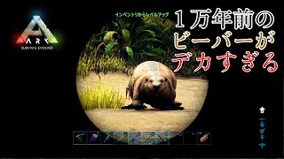 【ARK】テイムトラップ作成してビーバー捕獲！＃8