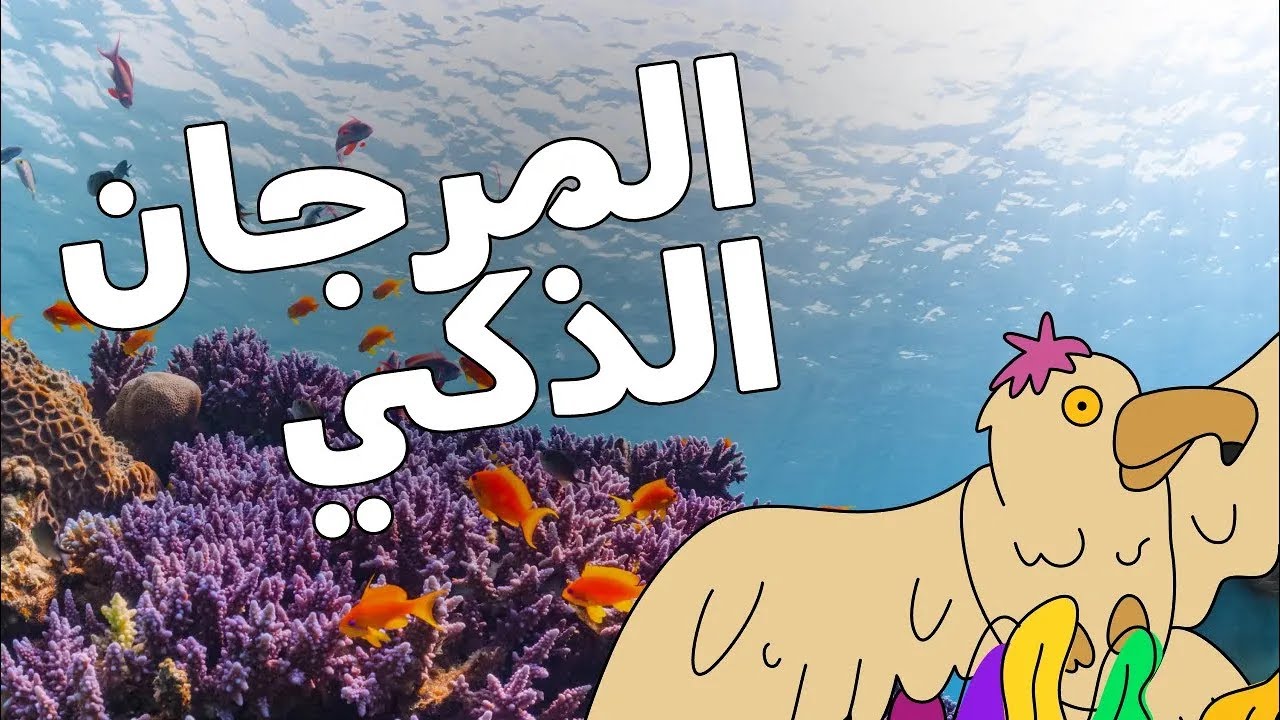 الشعاب المرجانية الذكية
