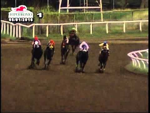 1RA CARRERA DEL DOMINGO 1 DE MAYO DE 2016 HPR