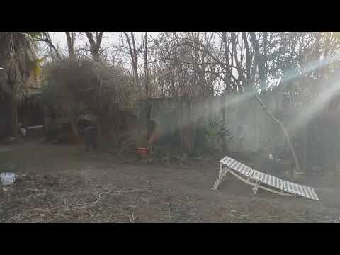 #rockmachine #ebike #fun #speed #mtbhopper