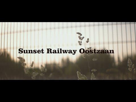 Oostzaan Railway Sunset