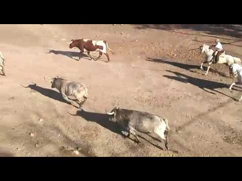 Friday July 7 2017 encierro Cebada Gago Pamplona