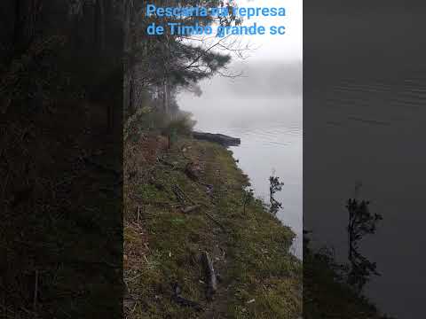 pescaria na represa de buriti Timbó grande sc