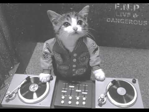 Friday Night Posse - Live & Dangerous