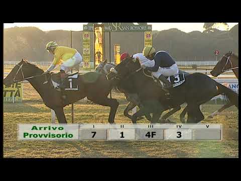 2019-02-17 Corsa 6 Metri 1500 Premio Giorgio Canaccini