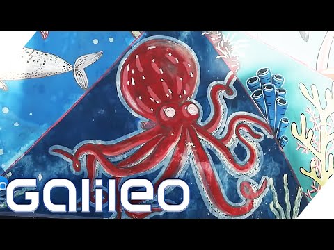 Die erste Oktopus Aquazucht der Welt: Paradies für eine aussterbende Spezies? | Galileo | ProSieben