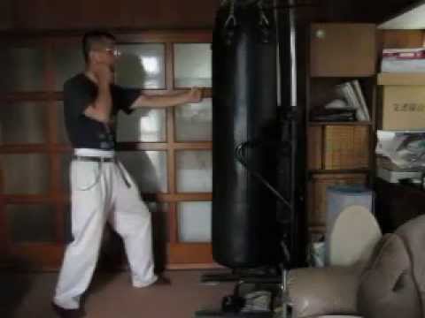 縦拳ジャブの力学(2015年07月05日撮影分)