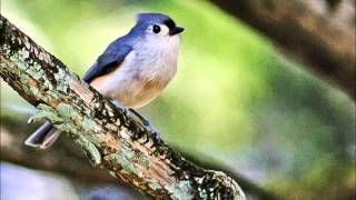 Rock Me On The Water