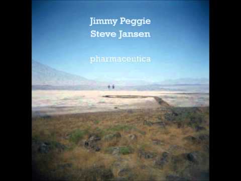 Jimmy Peggie and Steve Jansen - "Rough Times" from Pharmaceutica