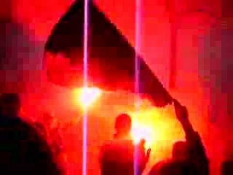 Rupel Boom - Wijgmaal